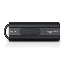 Amazon Basics 256 GB Chiavetta