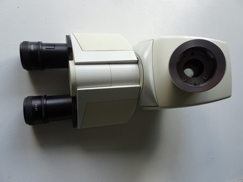 Leica dmrb microscopio - dmrb, testa