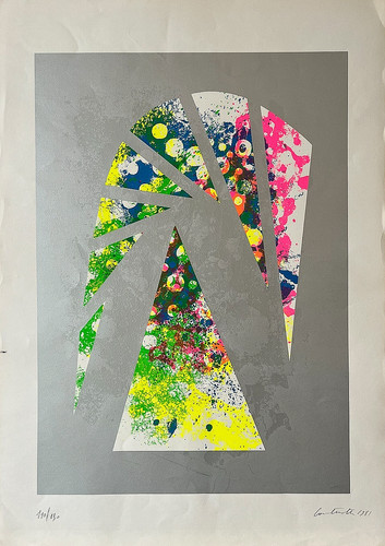 Serigrafia bruno contenotte - serigrafia,