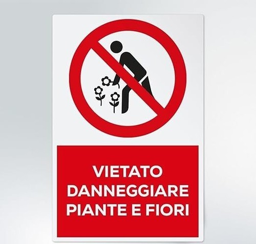 Cartello segnaletico vietato - -,