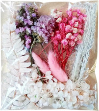 Fiori Secchi Naturali, Veri