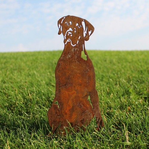 Weimaraner sagoma per - weimaraner,