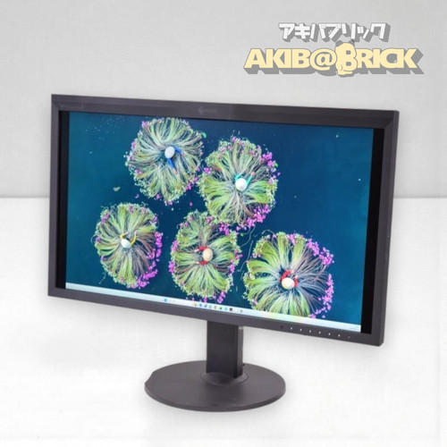 Eizo cg319x monitor lcd - monitor,