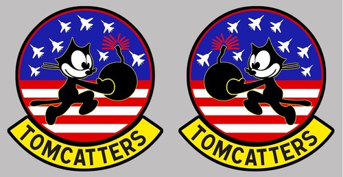 Grumman tomcat f14 - grumman,