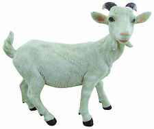 CAPRETTA  in resina animale da