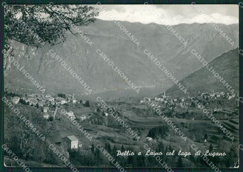 Como pellio laino - laino, lago