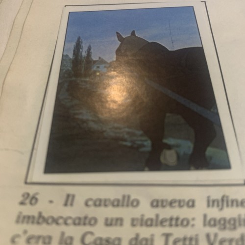 Figurina anna dai capelli - dai,