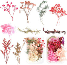 2 Scatole Di Fiori Secchi