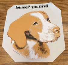 Cane Spaniel Brittany in ferro