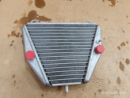 Radiatore olio ducati - olio,