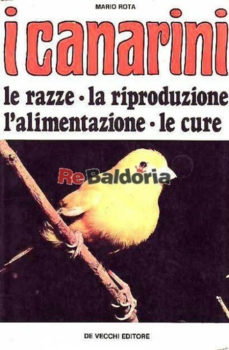 Canarini vecchi rota - canarini,