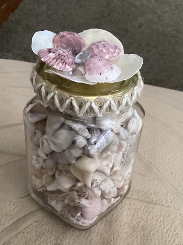 Sanibel conchiglie mare in - sanibel,