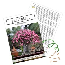 Semi per bonsai ad alto tasso