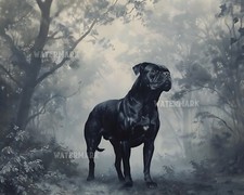 8x10 Matte Print Majestic Cane