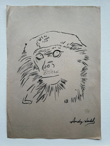 Andy warhol disegno carta - andy,