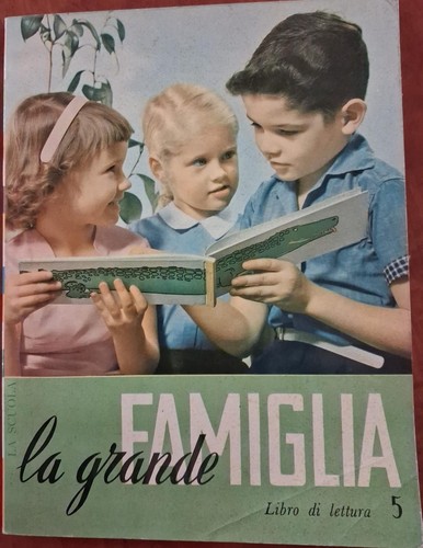 Grande famiglia libro - la,