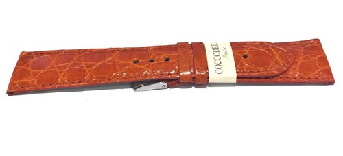 Cinturini morellato fuscus - cinturini,