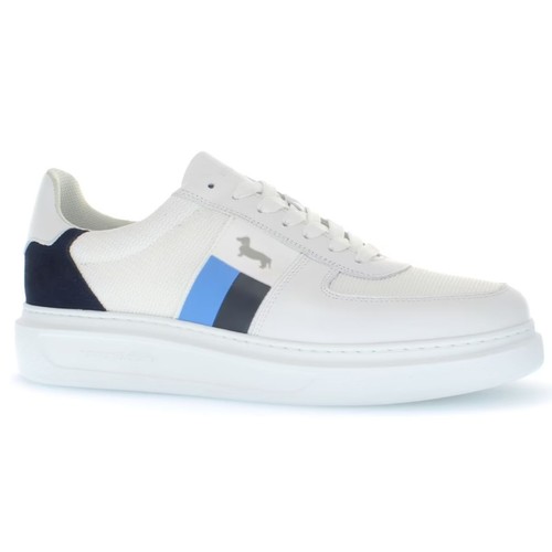 Scarpa harmont blaine pelle - scarpa, harmont&blaine