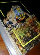 Panini National Geographic