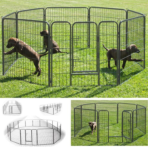 Cuccia per animali - , beccuccio