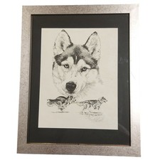 Lyn St Clair Stubbs Signed Numbered Husky Sled Dog Print 16x20 Framed 103/250