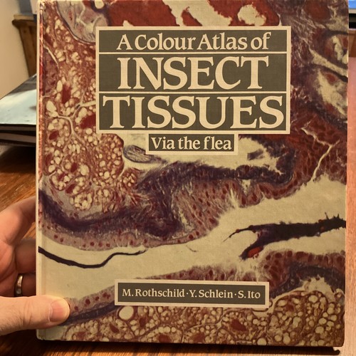 Colour atlas insect tissues - colour, of
