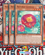 🇮🇹 YU GI OH 3 x NATURIA