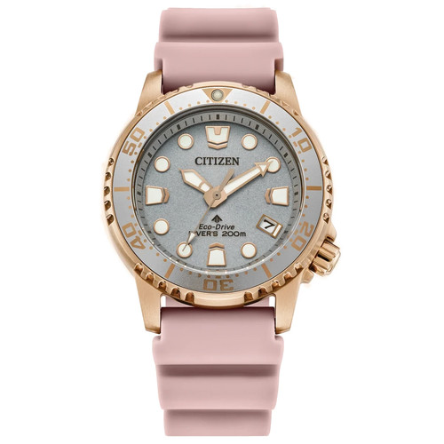 Citizen promaster dive - promaster,