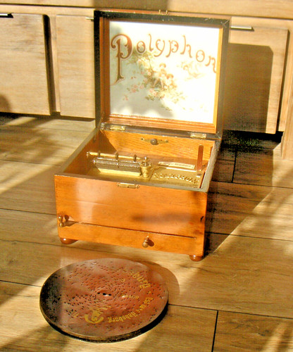 Top polifono con piastre - con, 20