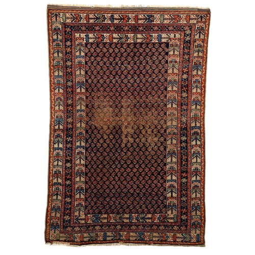Tappeto afshar antico lana - tappeto,