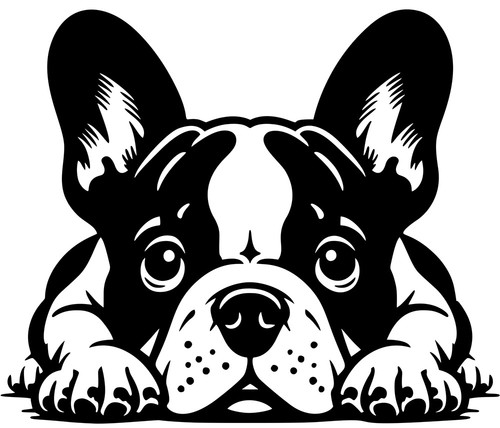 Adesivo bulldog francese - bulldog,