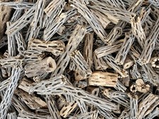 6+ LBS CHOLLA Legno TAGLI |