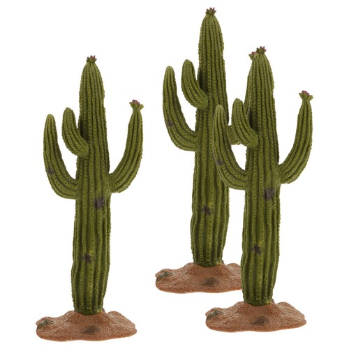 Pezzi piante cactus - 3,