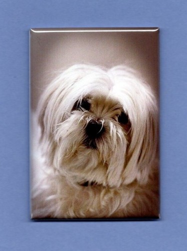Maltese 2x3 magnete - maltese, frigo*