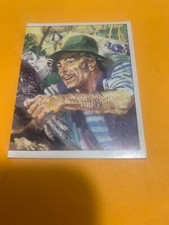 FIGURINA N.330 ANIMALI