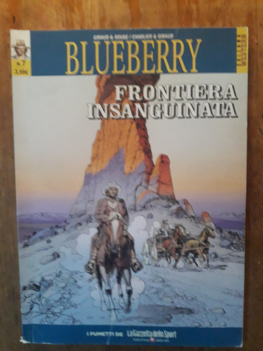 Blueberry frontiera - 7,