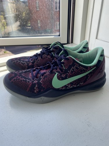 Kobe pit viper - kobe, us