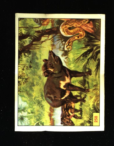 Animali preistorici - animali, (1974)