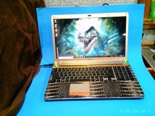 Sony Vaio RAPTOR 17