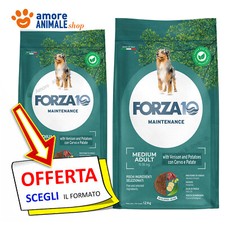 Forza10 Dog Maintenance →