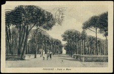 cartolina FREGENE viale a mare