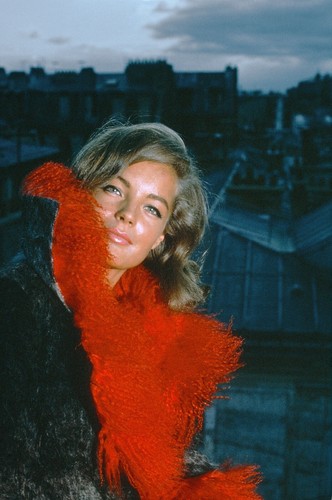 Romy schneider sexy 8x12 - schneider,