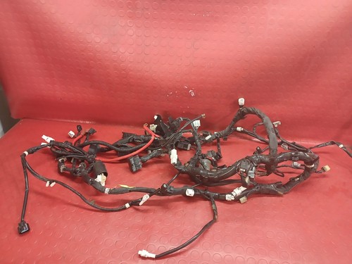 Impianto elettrico treccia - impianto,
