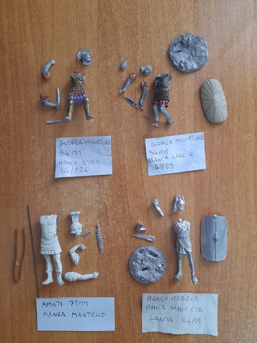 Romani pegaso models - romani/pegaso, models/andrea