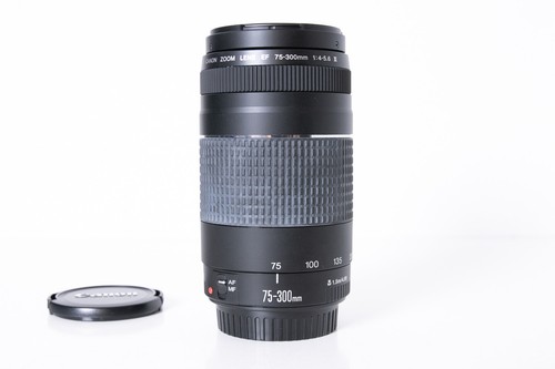 Canon 300 4 5 6 - 75-300, iii