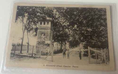 Cartolina san rossore pisa - di,
