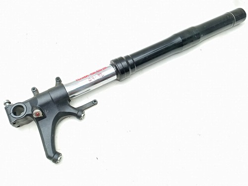 Forcella anteriore sinsitra - anteriore,