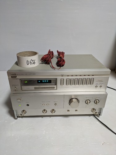 Amplificatore integrato d - amplificatore,