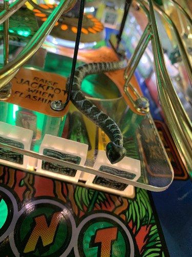 Indiana jones flipper mod - flipper,