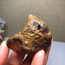 Bonsai Naturale 92g Suiseki